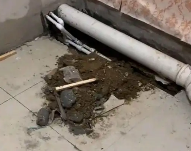 秀峰卫生间漏水检测哪家好