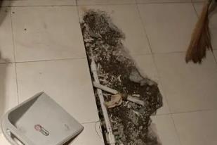 秀峰卫生间漏水检测电话